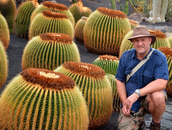 Echinocactus grusonii