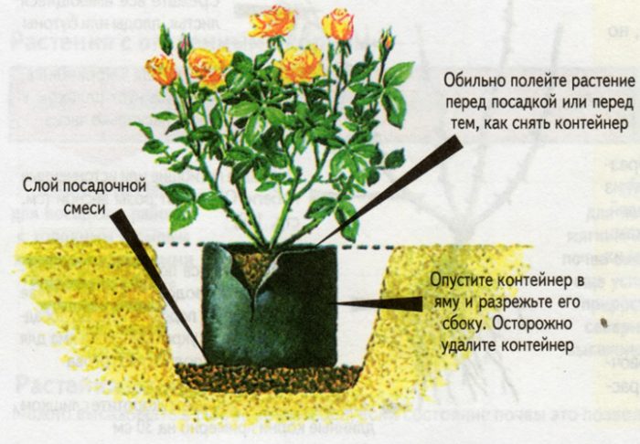 Правила посадки