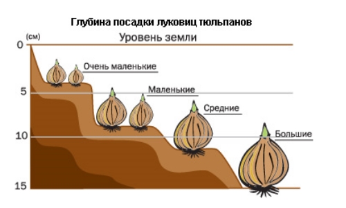  Глубина посадки